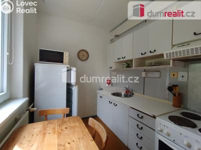 Pronájem bytu 2+1 Ostrov, Severní 1339 č. 26