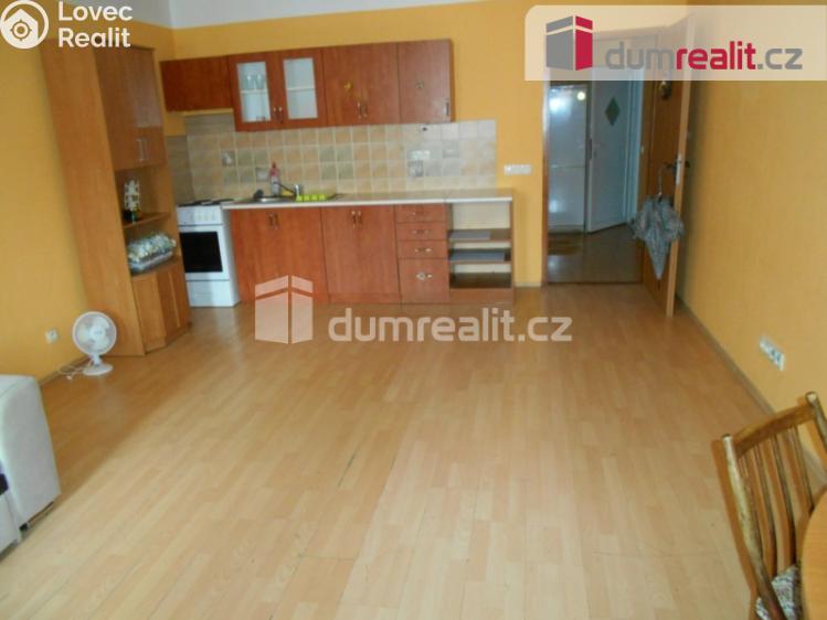 Pronájem bytu 1+KK Příbram, Dlouhá 95 č. 1