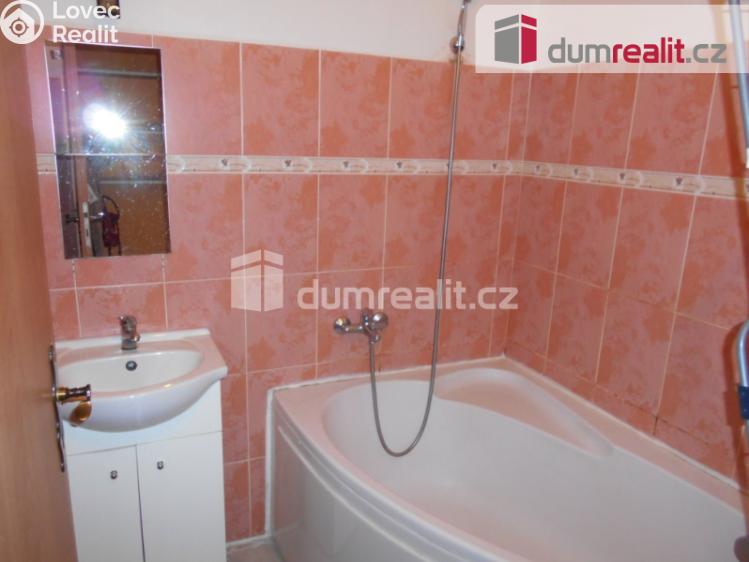 Pronájem bytu 1+KK Příbram, Dlouhá 95 č. 5