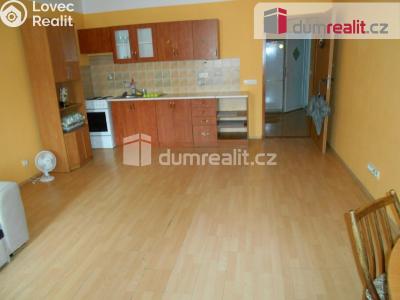 Pronájem bytu 1+KK Příbram, Dlouhá 95 č. 1