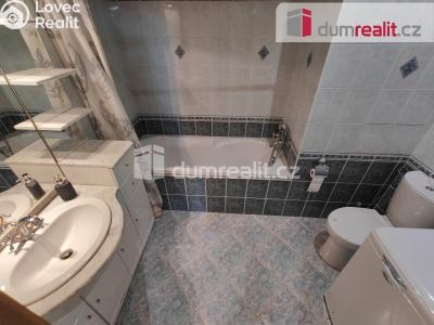 Pronájem bytu 2+KK Praha, Holandská 365 č. 18