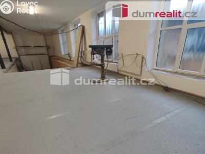 Pronájem výrobní haly Janská č. 8