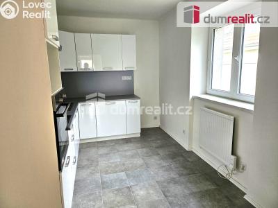 Pronájem bytu 2+1 Lovosice, Terezínská 882 č. 7
