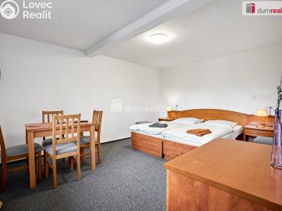 Prodej ubytovacího zařízení Nejdek, Karlovarská 491 č. 5