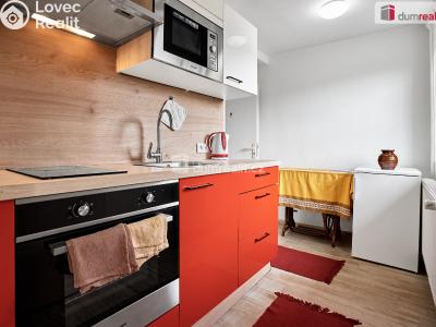 Prodej ubytovacího zařízení Nejdek, Karlovarská 491 č. 7