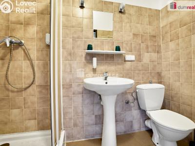 Prodej ubytovacího zařízení Nejdek, Karlovarská 491 č. 9