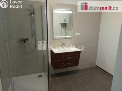 Pronájem bytu 1+1 Karlovy Vary, Lesní 232 č. 24