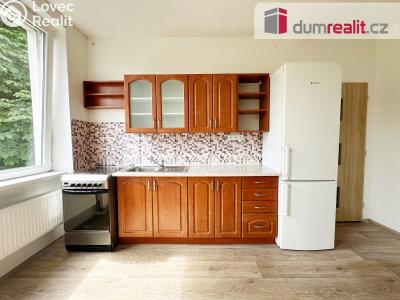 Pronájem bytu 1+1 Ústí nad Labem, Kosmonautů 571 č. 2