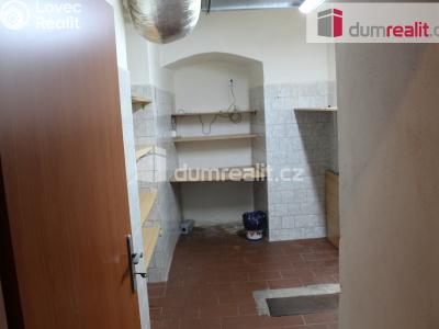 Pronájem obchodního prostoru Plzeň, Americká 16 č. 13