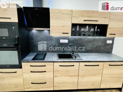 Pronájem bytu 2+KK Abertamy, Pražská 515 č. 11