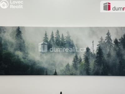 Pronájem bytu 2+KK Abertamy, Pražská 515 č. 15