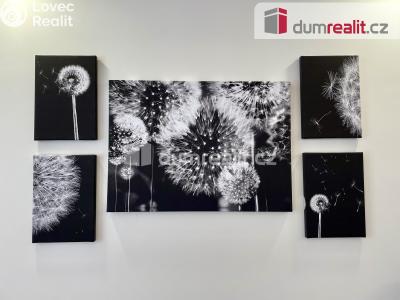 Pronájem bytu 2+KK Abertamy, Pražská 515 č. 16