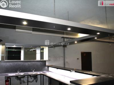 Pronájem obchodního prostoru Plzeň, Prokopova 336 č. 9