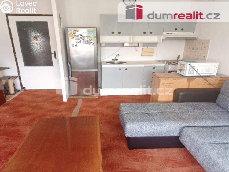 Prodej bytu 1+1 Děčín, Čsl. partyzánů 375 č. 2