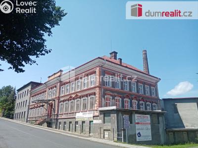 Pronájem komerční nemovitosti Česká Kamenice, Děčínská 361 č. 1