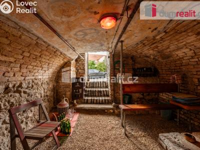 Prodej komerční nemovitosti Mikulov, Brněnská 343 č. 14