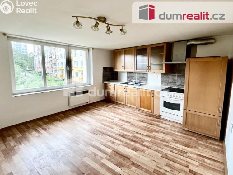 Pronájem bytu 2+1 Ústí nad Labem, Stará 1304 č. 1