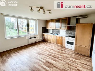 Pronájem bytu 2+1 Ústí nad Labem, Stará 1304 č. 1