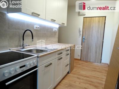 Pronájem bytu 1+1 Otrokovice, Školní 1300 č. 1