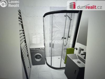 Pronájem bytu 2+1 Příbram, Slunná 550 č. 5