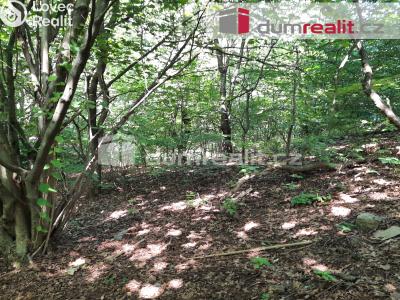 Prodej rodinného domu Liberec, Pod Skalkou 197 č. 12