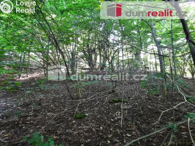 Prodej rodinného domu Liberec, Pod Skalkou 197 č. 13