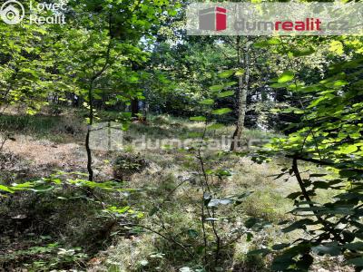 Prodej rodinného domu Liberec, Pod Skalkou 197 č. 14