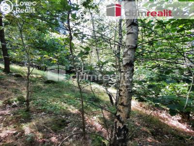 Prodej rodinného domu Liberec, Pod Skalkou 197 č. 15