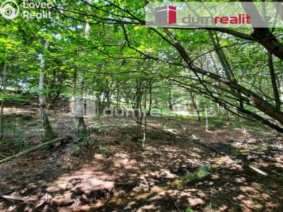 Prodej rodinného domu Liberec, Pod Skalkou 197 č. 16