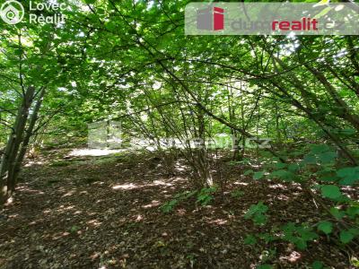 Prodej rodinného domu Liberec, Pod Skalkou 197 č. 17