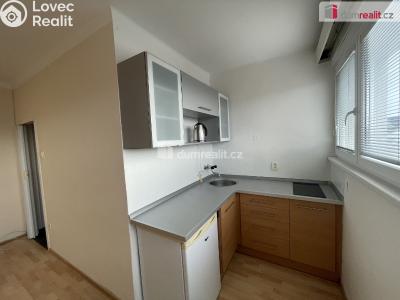 Pronájem bytu 1+KK Příbram, Hradební 68 č. 3