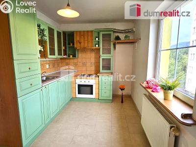 Prodej bytu 1+1 Chlumec, Stradovská 385 č. 1