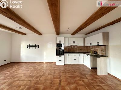 Pronájem rodinného domu Ploskovice č. 3