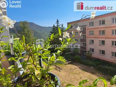 Prodej bytu 3+1 Ústí nad Labem, Peškova 565 č. 8