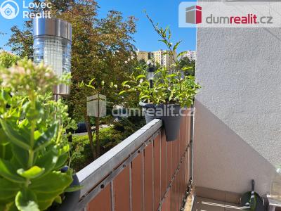 Prodej bytu 3+1 Ústí nad Labem, Peškova 565 č. 10