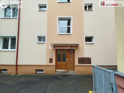 Pronájem bytu 2+1 Ostrov, Jungmannova 682 č. 2