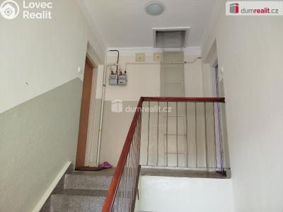 Pronájem bytu 2+1 Ostrov, Jungmannova 682 č. 5