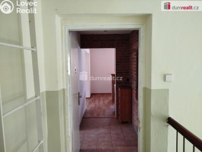Pronájem bytu 2+1 Ostrov, Jungmannova 682 č. 6