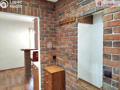 Pronájem bytu 2+1 Ostrov, Jungmannova 682 č. 7