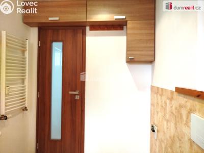 Pronájem bytu 2+1 Ostrov, Jungmannova 682 č. 8