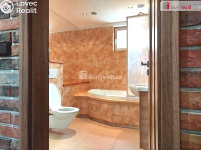 Pronájem bytu 2+1 Ostrov, Jungmannova 682 č. 9