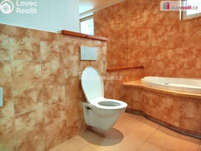 Pronájem bytu 2+1 Ostrov, Jungmannova 682 č. 10