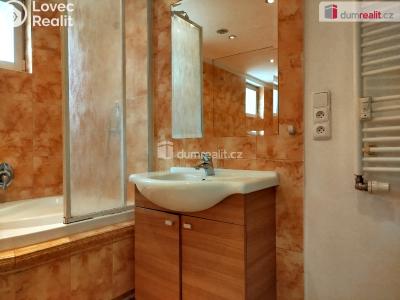 Pronájem bytu 2+1 Ostrov, Jungmannova 682 č. 12