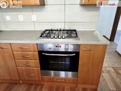 Pronájem bytu 2+1 Ostrov, Jungmannova 682 č. 20