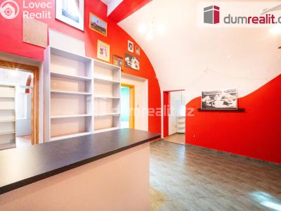 Pronájem komerční nemovitosti České Budějovice, Dr. Stejskala 108 č. 7