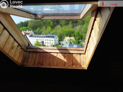 Prodej bytu 2+1 Karlovy Vary, Kolmá 771 č. 24