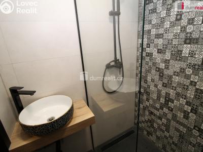 Prodej bytu 2+1 Habartov, Karla Čapka 89 č. 3