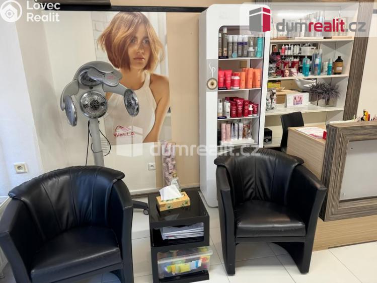 Pronájem obchodního prostoru Kolín, Zámecká 87 č. 2