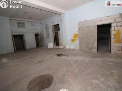 Prodej komerční nemovitosti Dalovice, Bohatická 145 č. 7