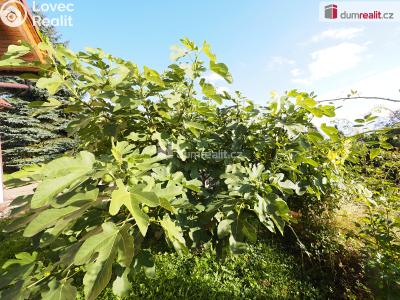 Prodej rodinného domu Mělník, Na Pěšince 3705 č. 16